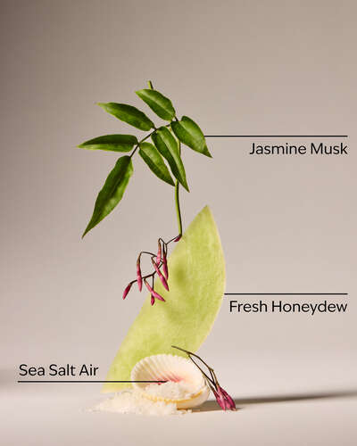 Sea Salt Travel Size Smooth & Soothe Body Cream