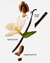 Cozy Vanilla Almond PocketBac Hand Sanitizer