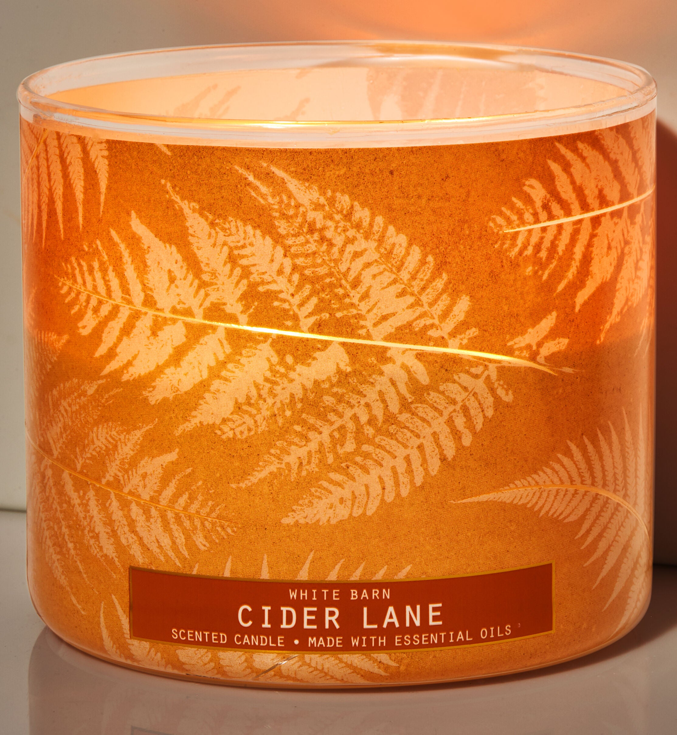 3-Wick Scented Candles - Bath & Body Works