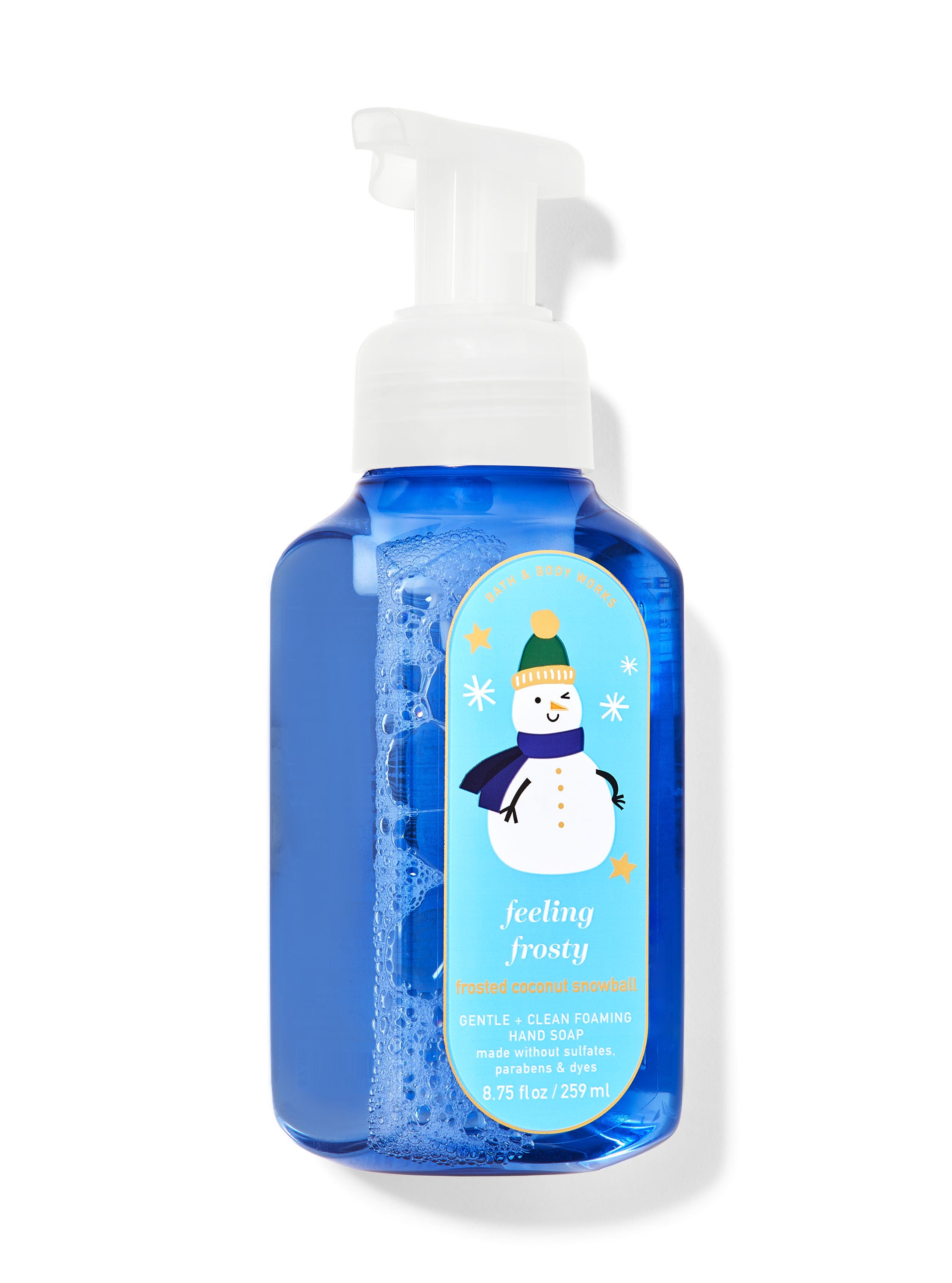 Frosted Coconut Snowball Gentle & Clean Foaming Hand Soap