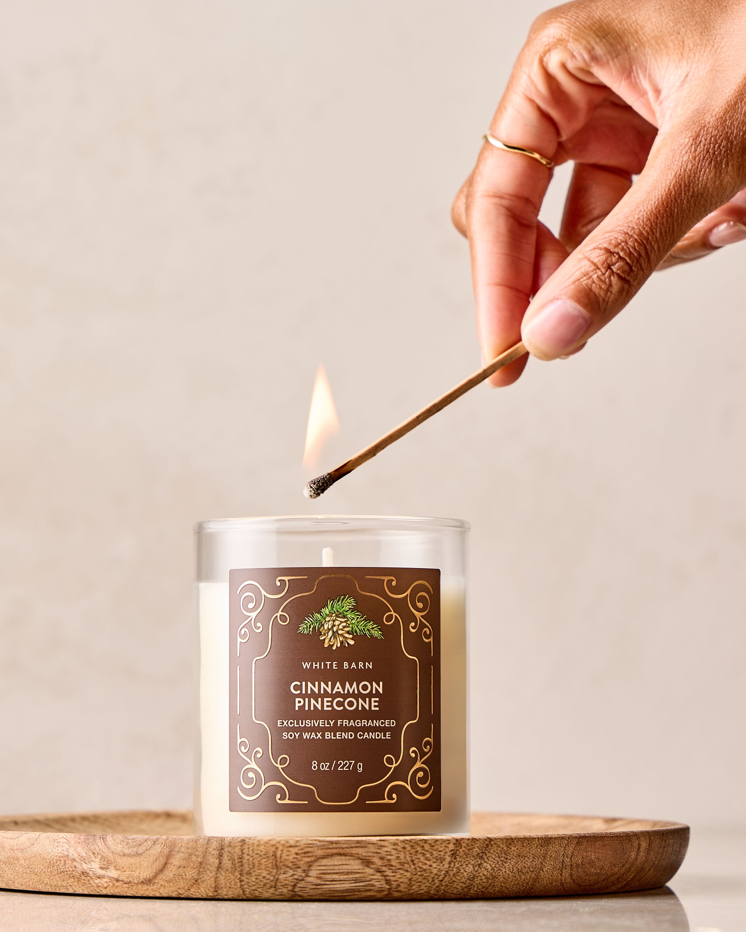Cinnamon Pinecone Single Wick Candle | Bath & Body Works