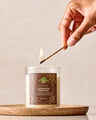 Cinnamon Pinecone Single Wick Candle