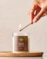 Cinnamon Pinecone Single Wick Candle
