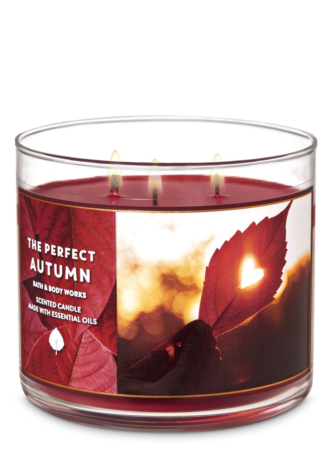 The Perfect Autumn 3 Wick Candle