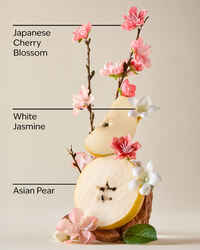 Japanese Cherry Blossom Gift Set
