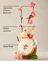 Japanese Cherry Blossom Gift Set