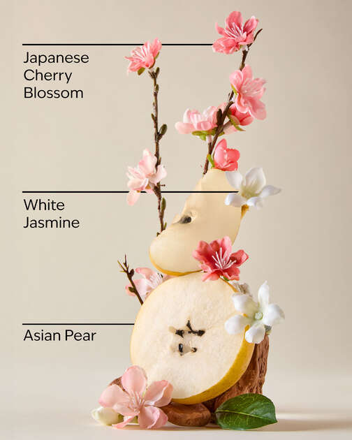 Japanese Cherry Blossom Gift Set