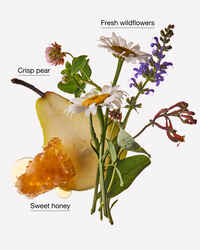 Honey Wildflower Moisturizing PocketBac Hand Sanitizer