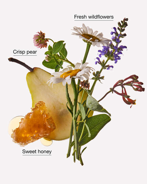 Honey Wildflower Moisturizing PocketBac Hand Sanitizer