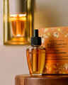 Sweet Cinnamon Pumpkin Wallflowers Refills 2-Pack