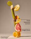 Sunshine & Lemons Moisturizing PocketBac Hand Sanitizer
