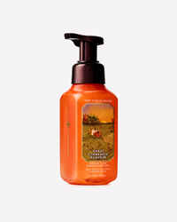 Sweet Cinnamon Pumpkin Gentle & Clean Foaming Hand Soap