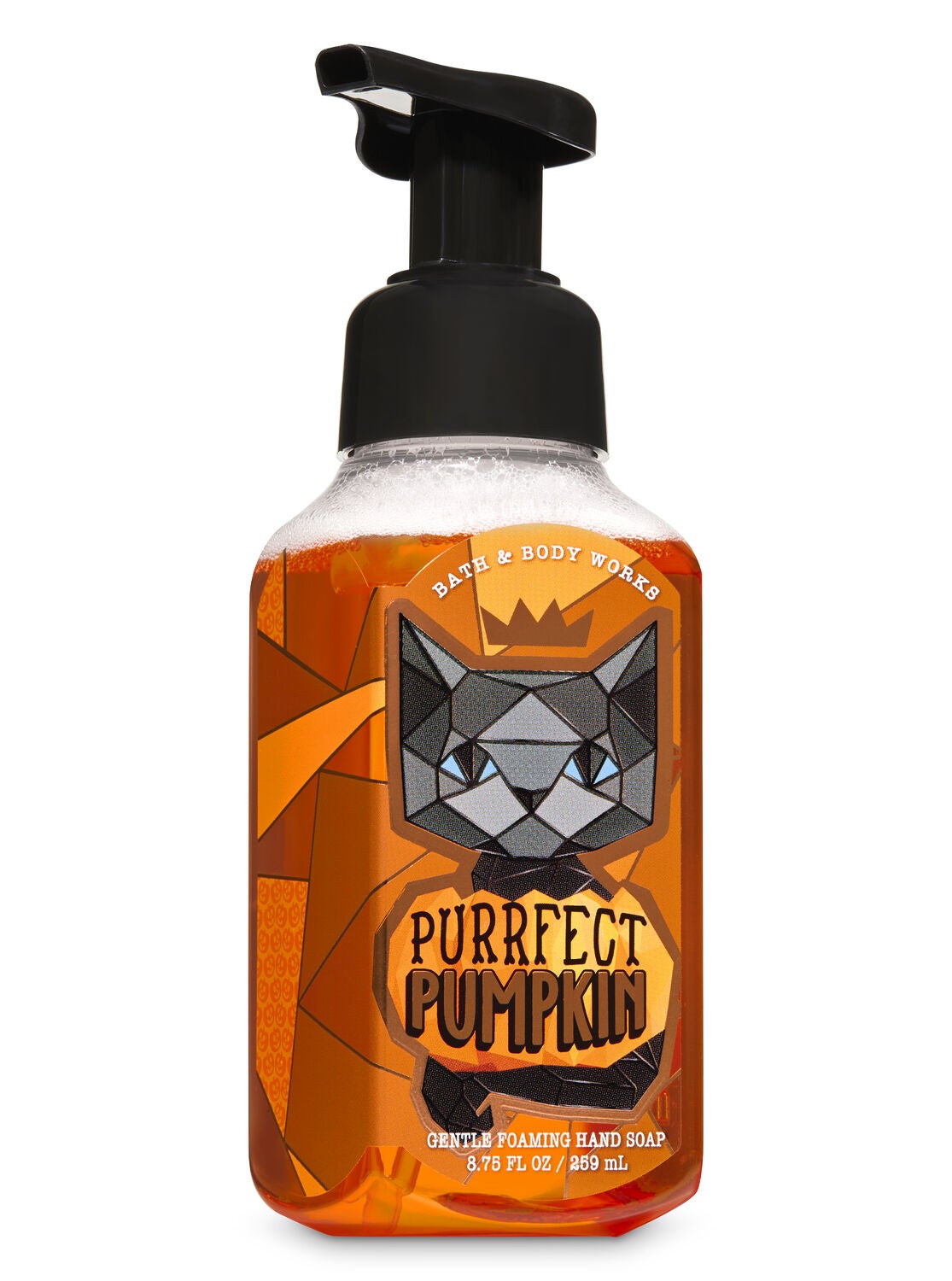 Purrfect Pumpkin Gentle Foaming Hand Soap - Bath And Body Works
