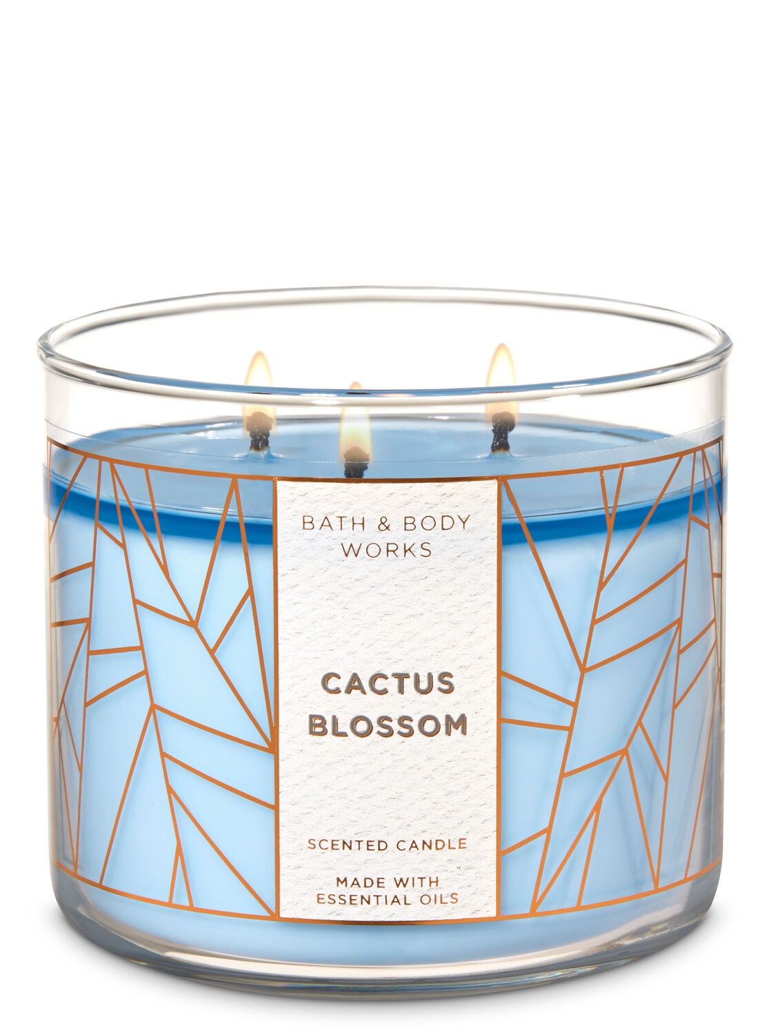 Cactus Blossom 3-Wick Candle - Bath And Body Works