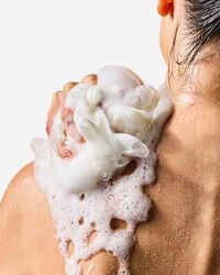 Whipped Honey & Vanilla Body Wash