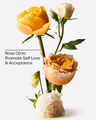 Heirloom Rose Moisturizing Body Lotion