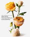 Heirloom Rose Moisturizing Body Lotion