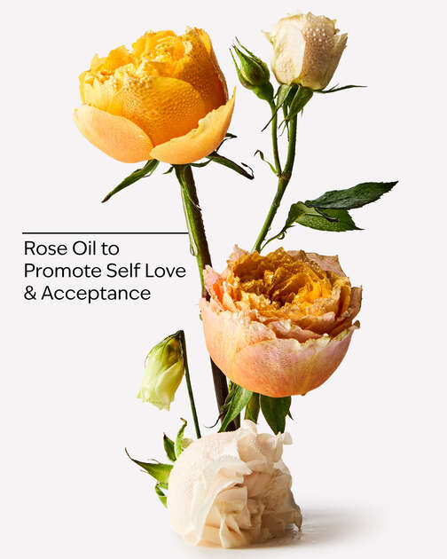 Heirloom Rose Moisturizing Body Lotion