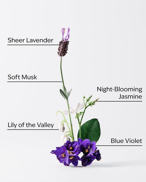 Moonlight Path Fine Fragrance Mist
