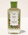 Carrot Charm Body Wash