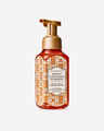 Sweet Cinnamon Pumpkin Gentle & Clean Foaming Hand Soap