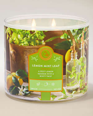 Lemon Mint Leaf 3-Wick Candle