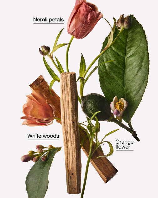 Petal Parade Fine Fragrance Mist