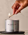 Platinum 3-Wick Candle