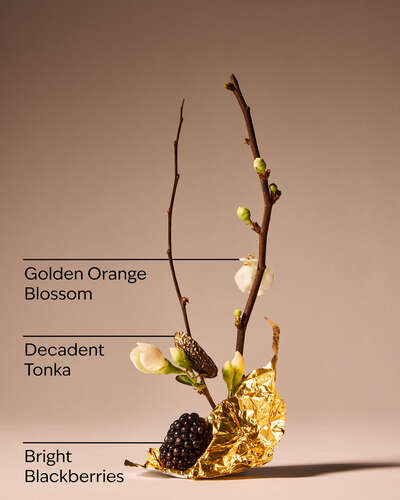 Touch of Gold Fine Fragrance Mist