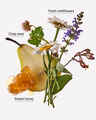 Honey Wildflower Wallflowers Refills 2-Pack