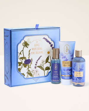 Lavender Vanilla Gift Set