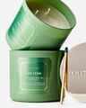Tree Farm 3-Wick Candle