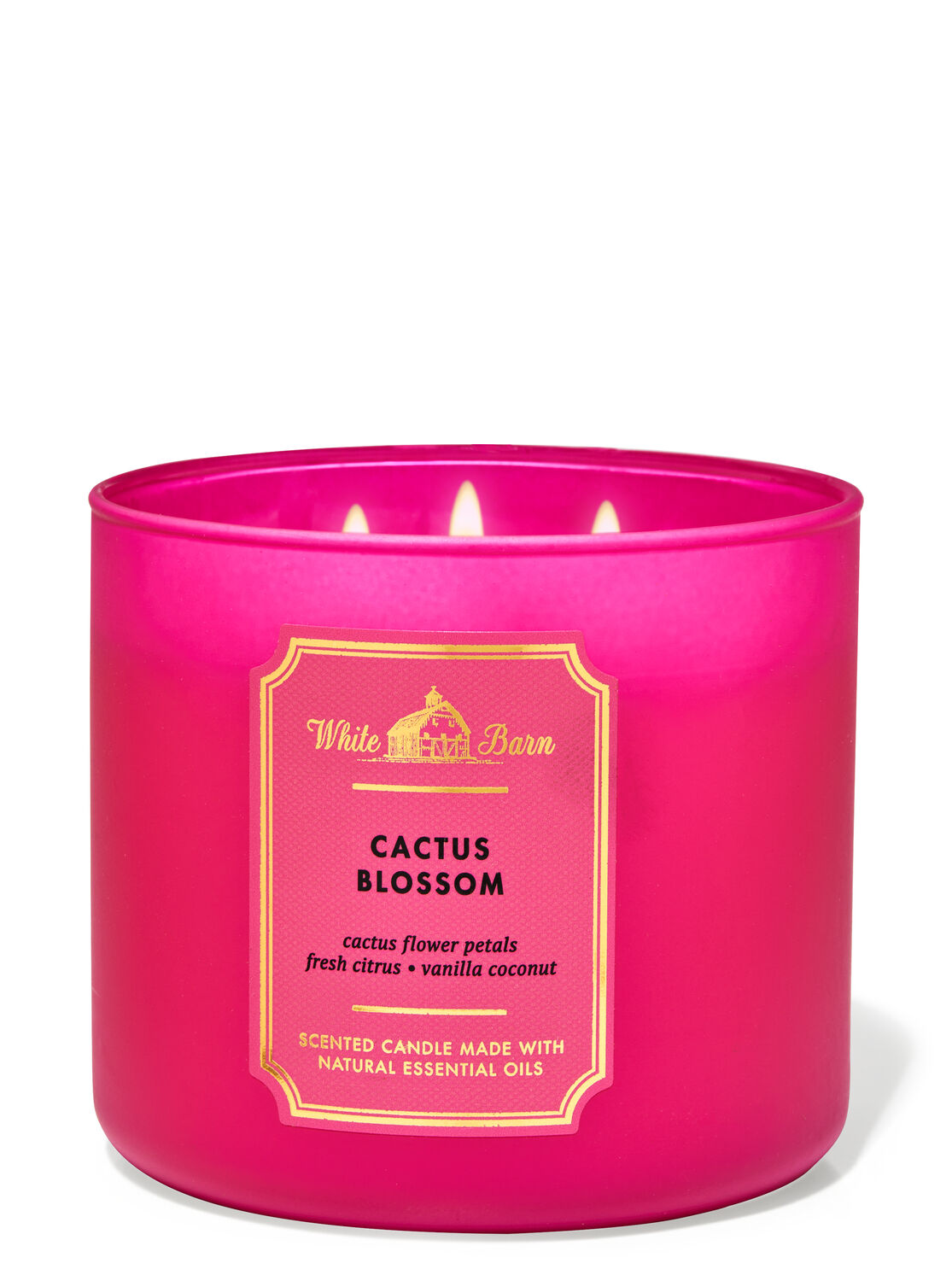Cactus Blossom 3-Wick Candle - White Barn | Bath & Body Works