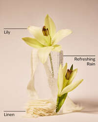 Fresh Rainfall & Linen Single Wick Candle