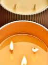 Vanilla Bean 3-Wick Candle