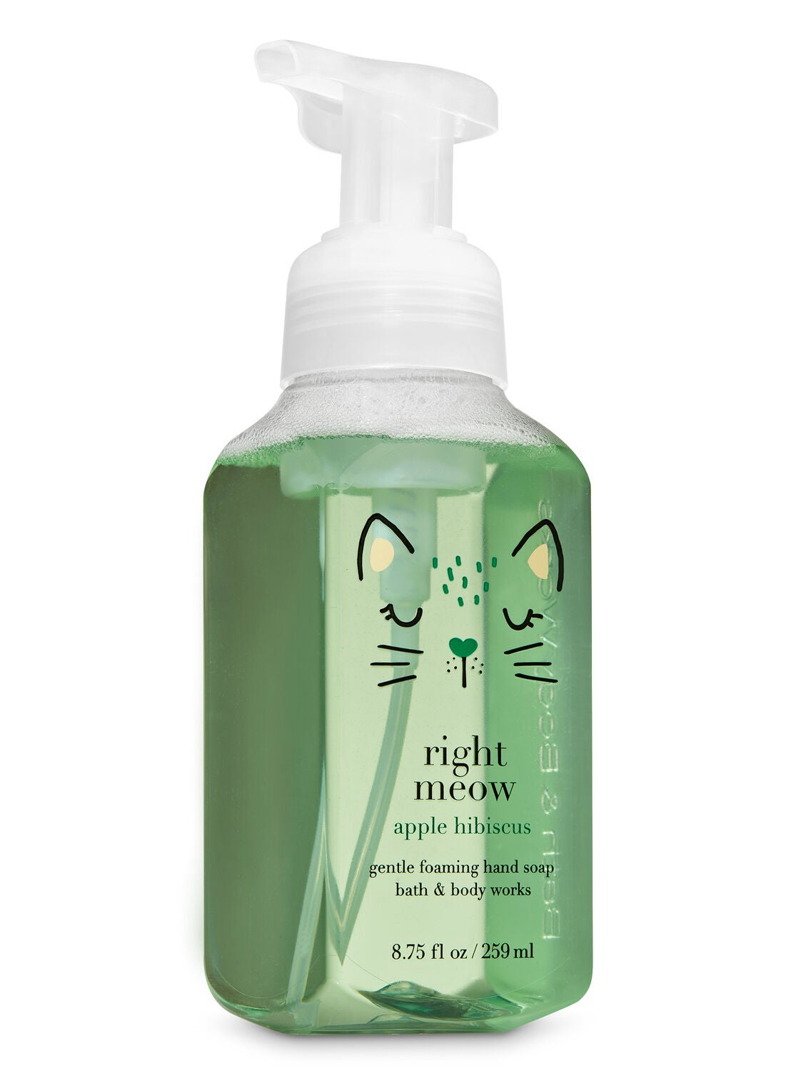Apple Hibiscus Gentle Foaming Hand Soap - Bath And Body Works