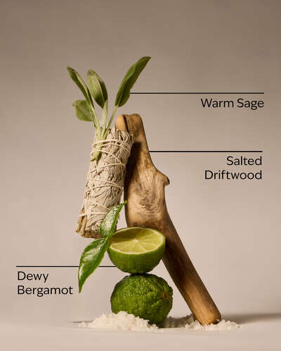 Salted Shorelines Ultimate Hydration Body Cream