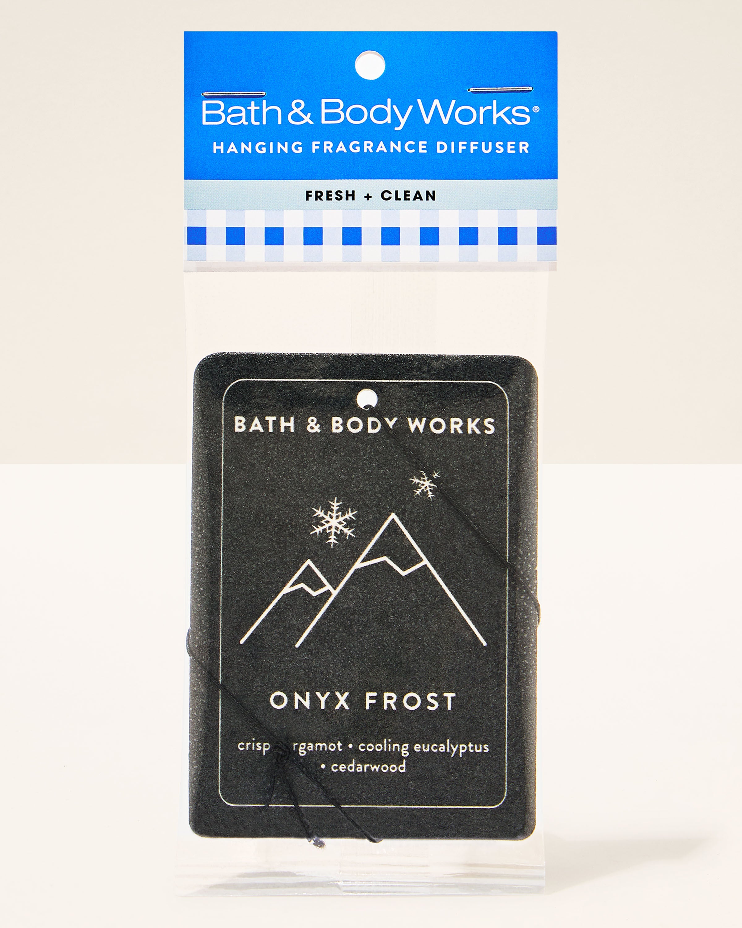 Onyx Frost Hanging Fragrance Diffuser | Bath & Body Works