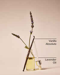 Lavender Vanilla Gift Set