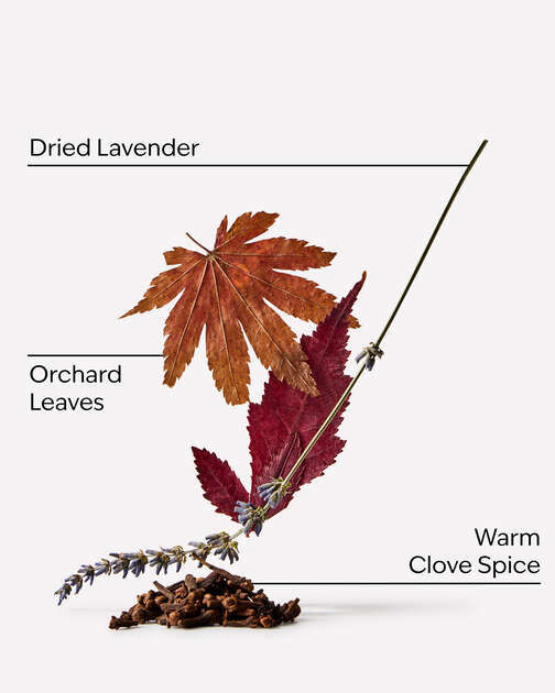 Lavender & Leaves 3-Wick Candle