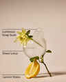 Clean House Vibes - Sparkling Bubbles Wallflowers Refills 2-Pack