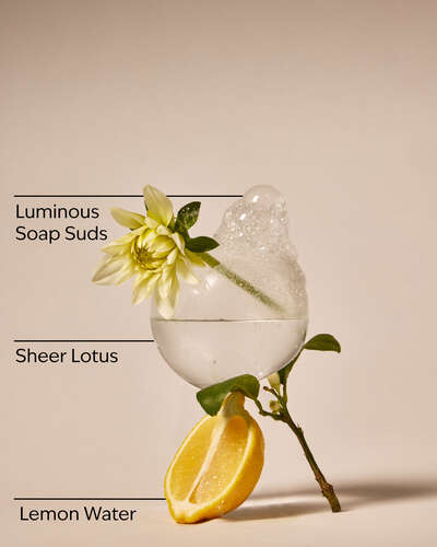 Clean House Vibes - Sparkling Bubbles Wallflowers Refills 2-Pack