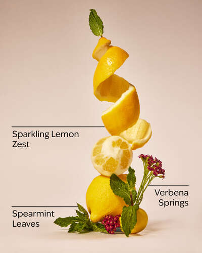 Lemon Mint Leaf 3-Wick Candle