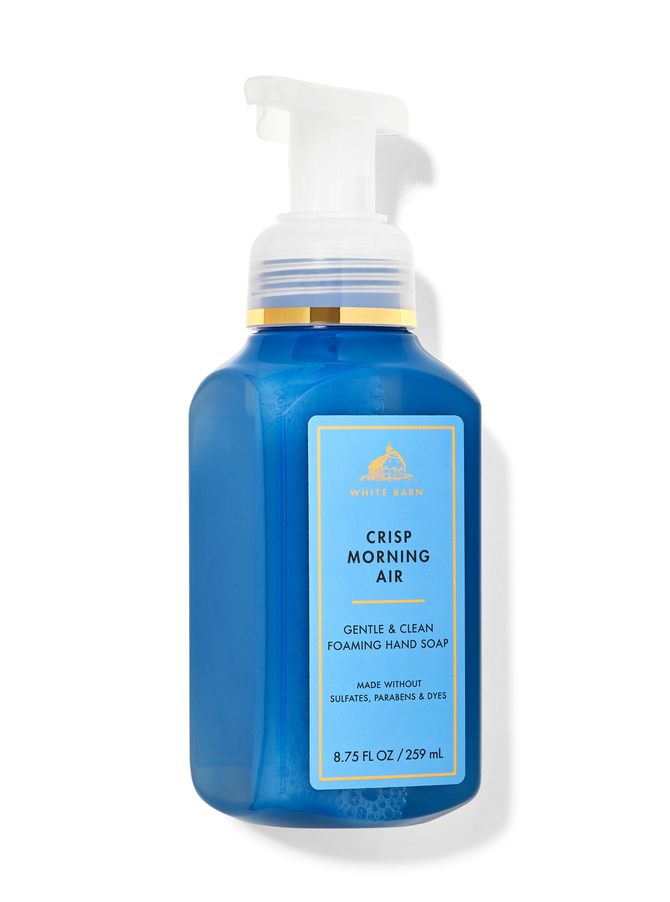 Crisp Morning Air Gentle Clean Foaming Hand Soap Bath Body Works