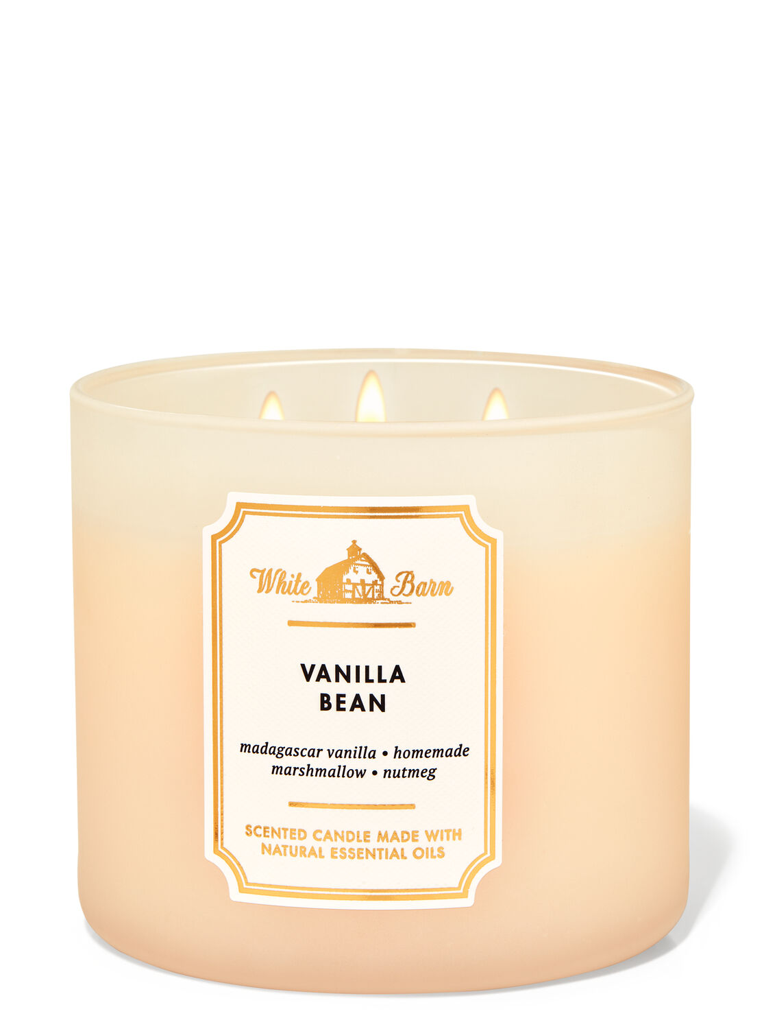 Vanilla Bean Large 3-Wick Candle - Warm and Fragrant Vanilla Scent – Goose  Creek Candle