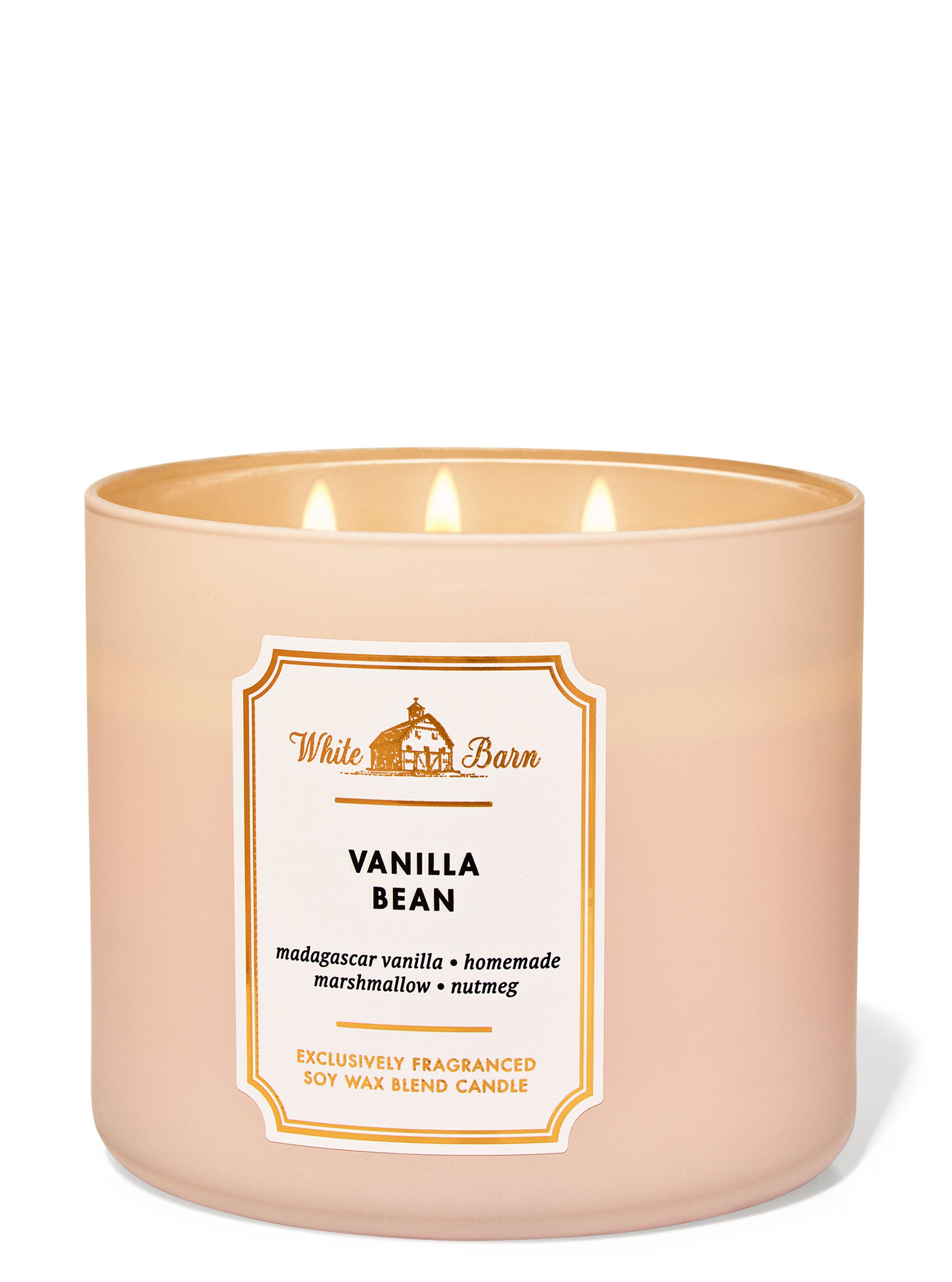 Vanilla Bean Large 3-Wick Candle - Warm and Fragrant Vanilla Scent – Goose  Creek Candle