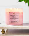 Champagne Toast 3-Wick Candle