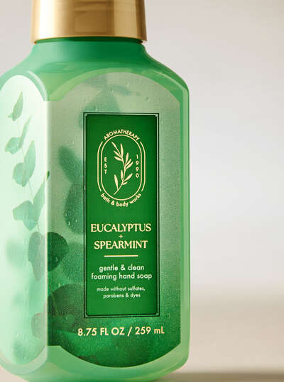 Eucalyptus Spearmint Gentle & Clean Foaming Hand Soap
