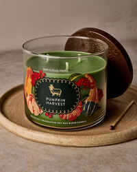 Pumpkin Harvest 3-Wick Candle