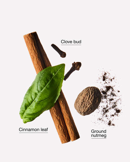 Cinnamon & Clove Buds Wallflowers Refills 2-Pack